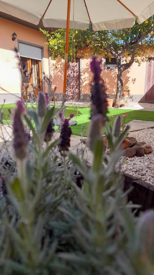 Bed and Breakfast Su Fassoi Cabras Exterior foto