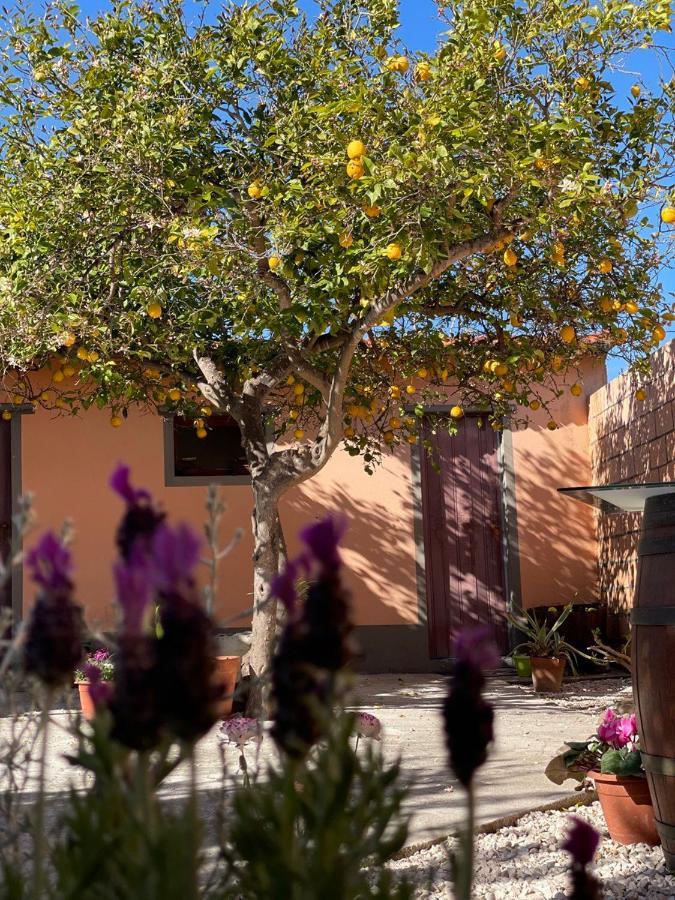 Bed and Breakfast Su Fassoi Cabras Exterior foto