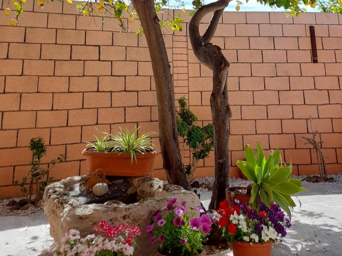 Bed and Breakfast Su Fassoi Cabras Exterior foto